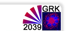 Logo DFG Graduiertenkolleg 2039